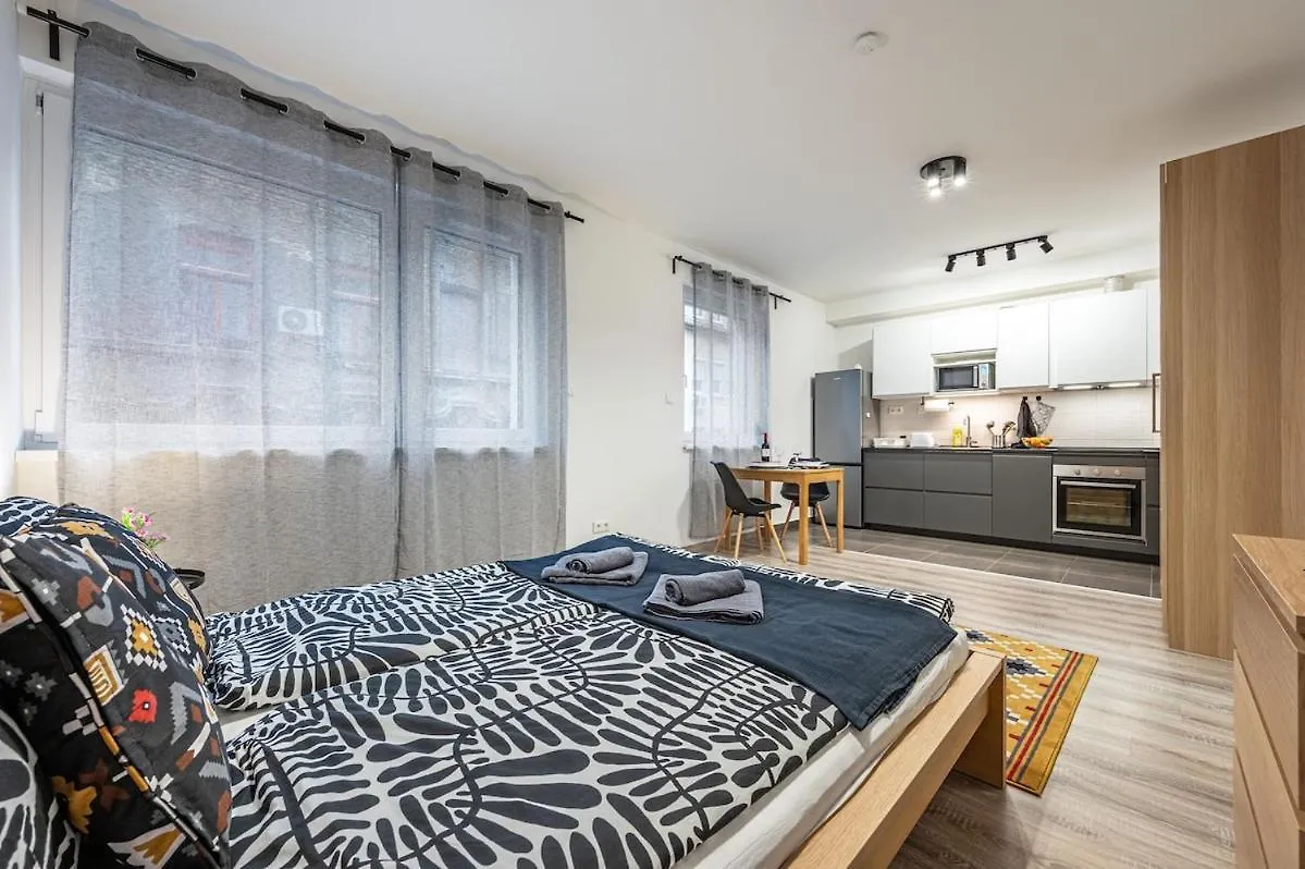 Tol26 Chic Studio Apt In New Building Budapeşte